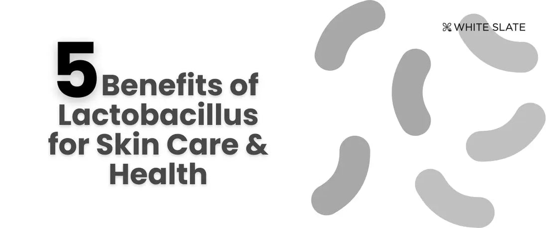 Benefits of Lactobacillus