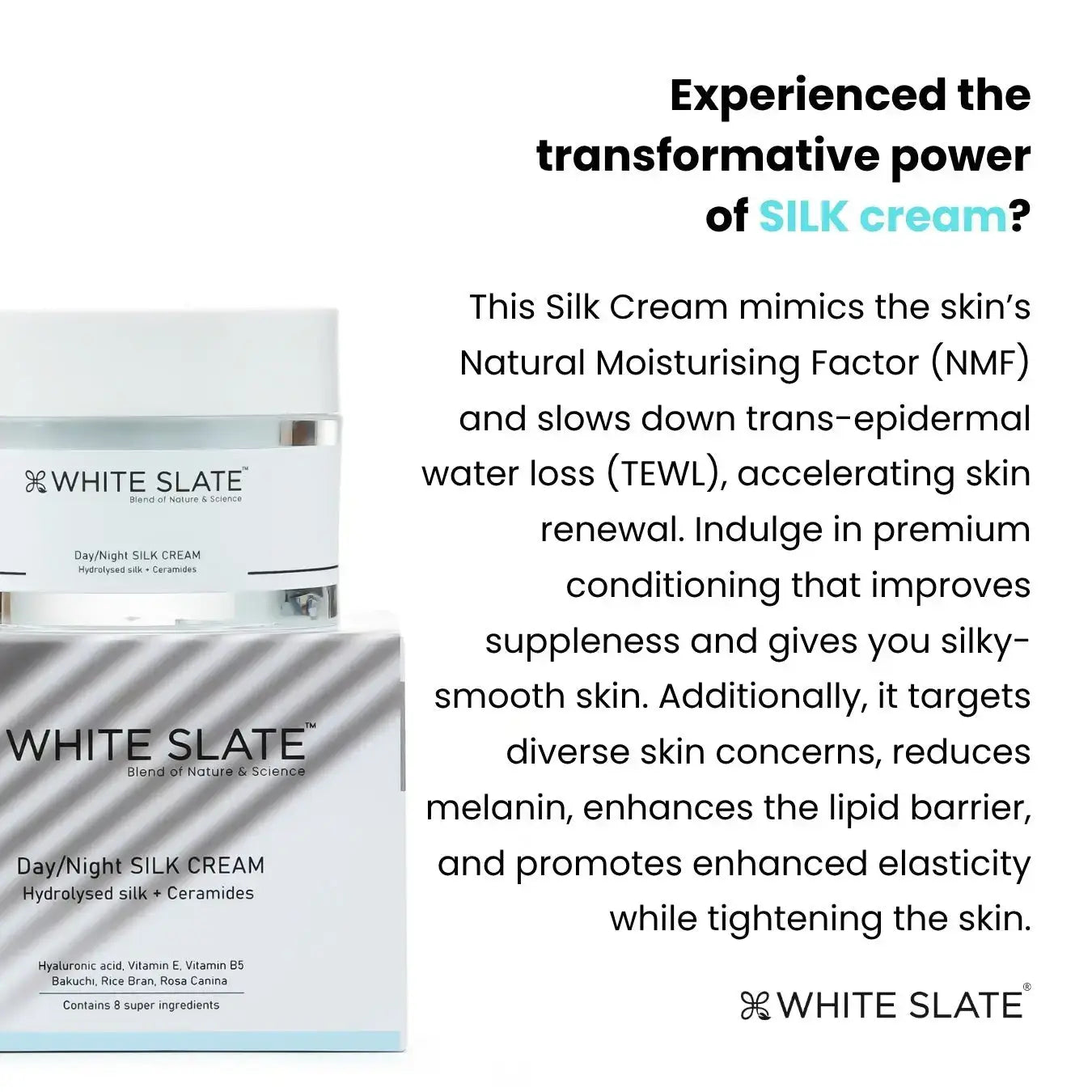 Day Night Silk Cream - WHITE SLATE