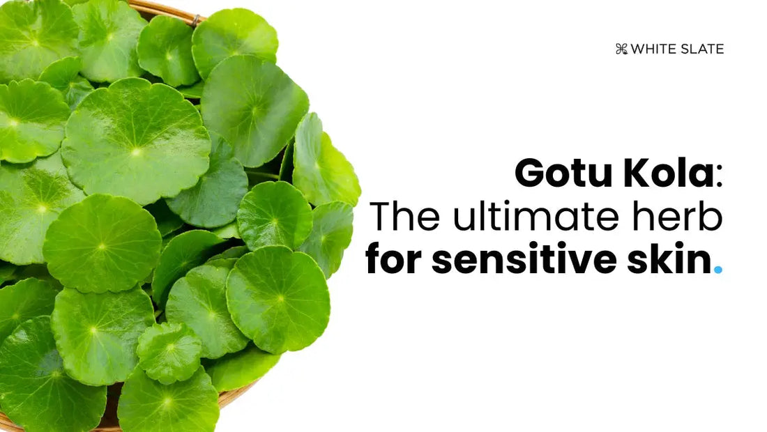 Gotu Kola