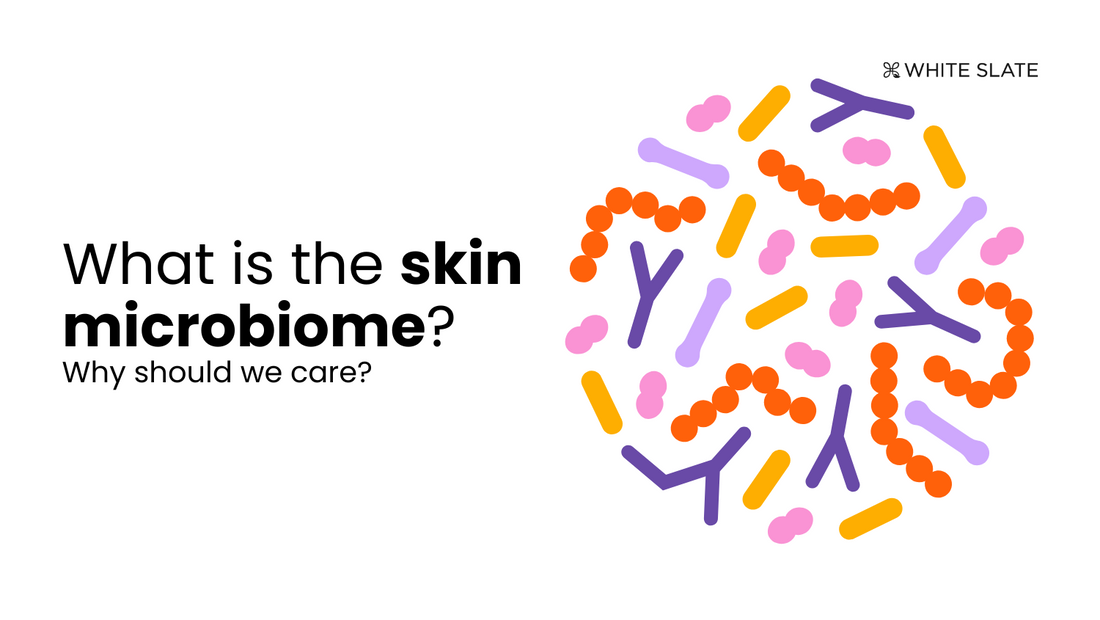 What-is-the-skin-microbiome-and-why-should-we-care 