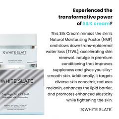 Day Night Silk Cream