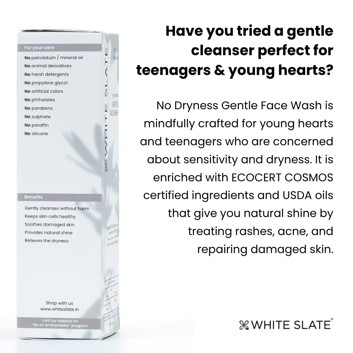 No Dryness Gentle Face Wash - WHITE SLATE