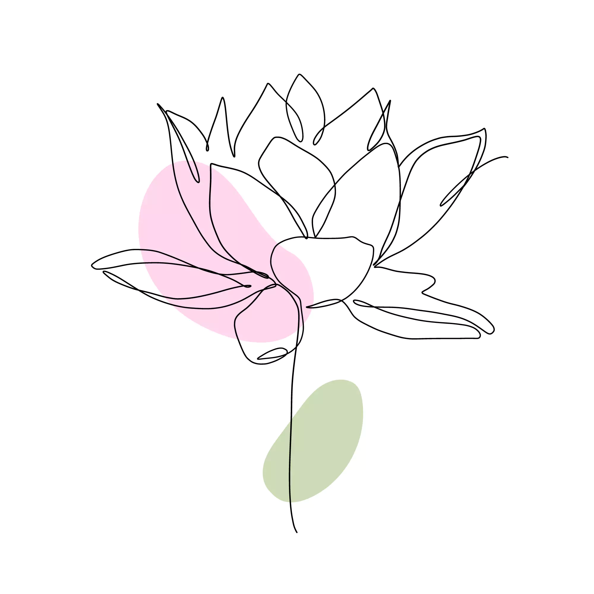 Indian Lotus