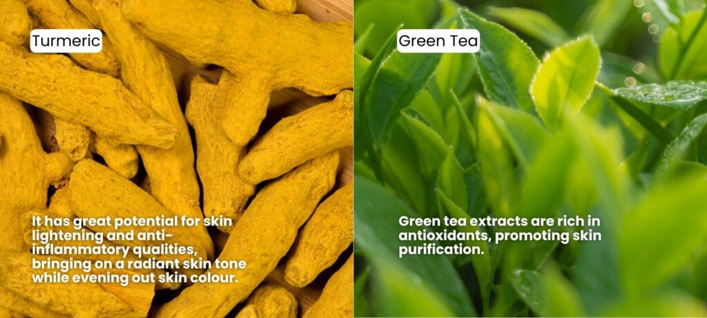 Turmeric and green tea 