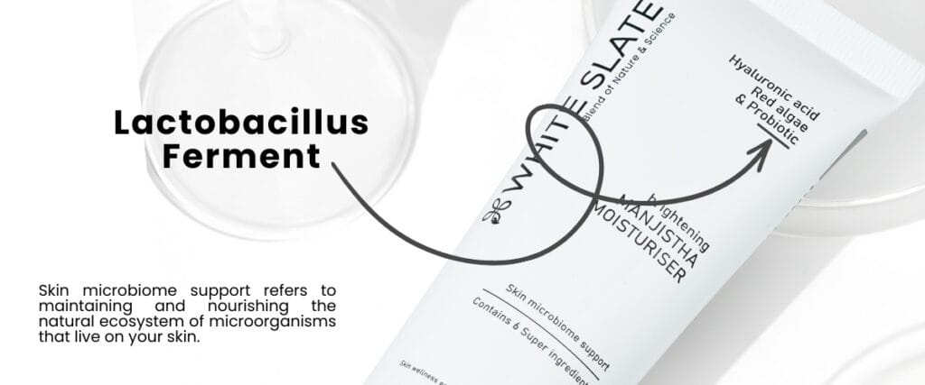 lactobacillus ferment